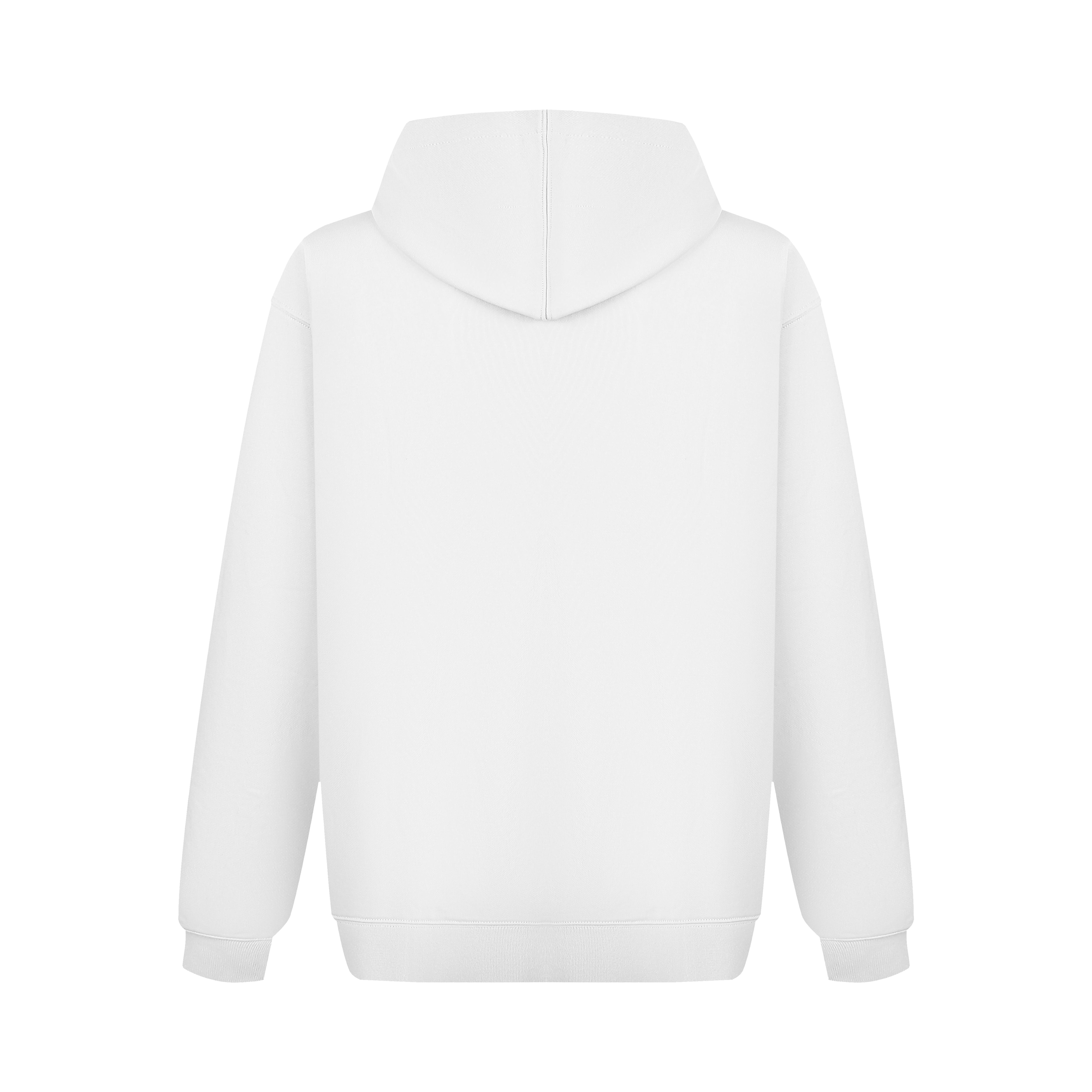 J Shin Chen Shot Sage Hoodie