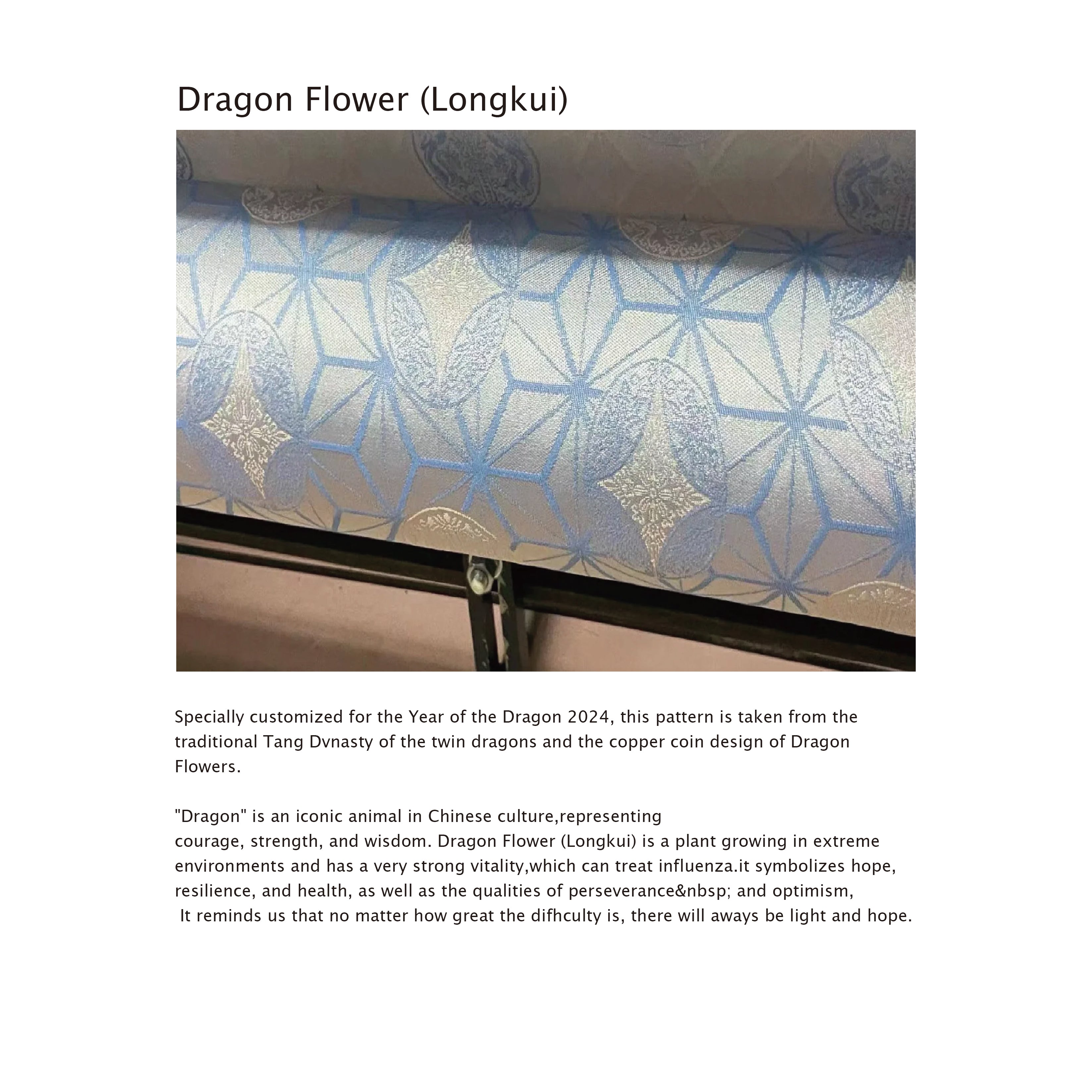 Dragon Patterned Men’s Jacket